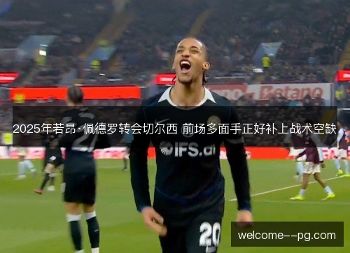 2025年若昂·佩德罗转会切尔西 前场多面手正好补上战术空缺 2025年若昂·佩德罗转会切尔西 前场多面手正好补上战术空缺