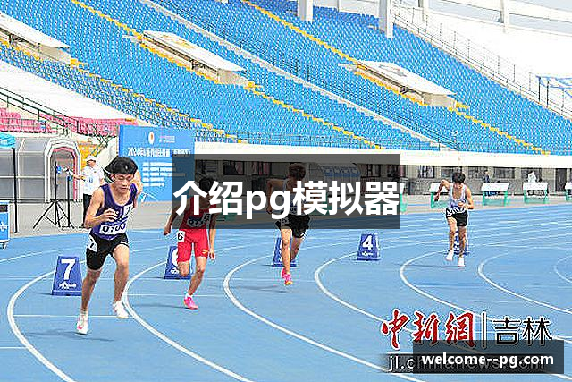 介绍pg模拟器